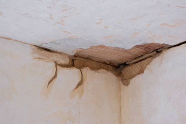 Professional Water damage restoration in New London, OH