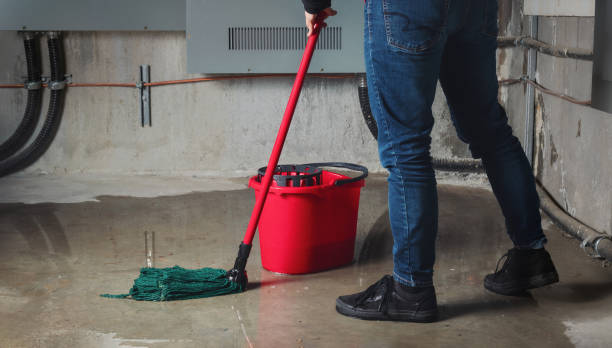 Best Water damage restoration near me  in New London, OH