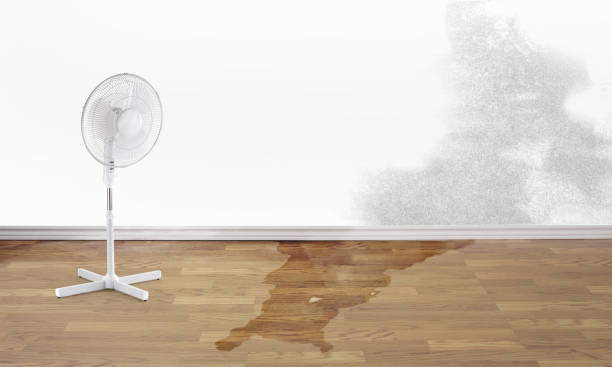 Best Ceiling water damage repair  in New London, OH