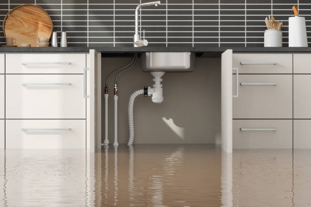 Best Water damage restoration near me  in New London, OH