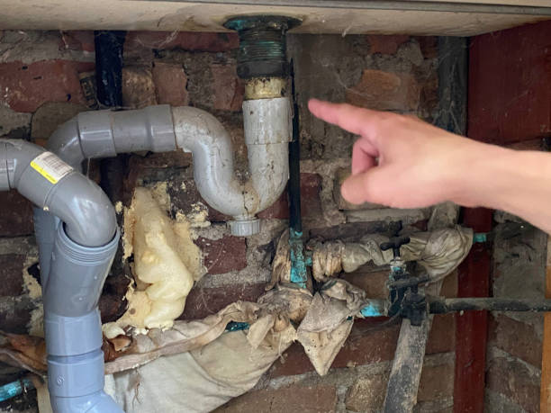 Best Carpet water damage restoration  in New London, OH