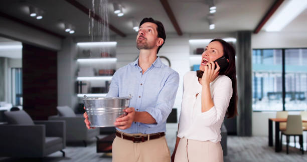 Best Flood damage cleanup  in New London, OH