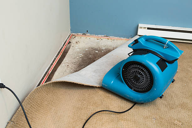 Best Local water damage restoration  in New London, OH